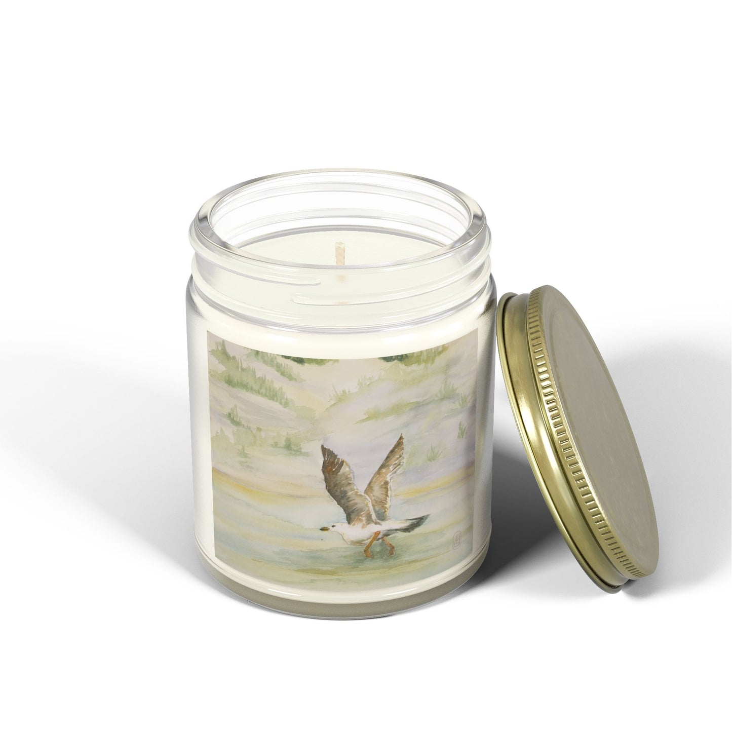 Nature-Inspired Scented Candle - Coconut Apricot Wax (4oz, 9oz)